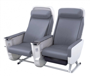 Aircraft Seat Assembly